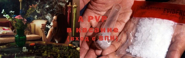 дмт Липки