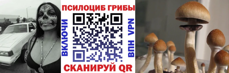 дарк нет Telegram  Малоархангельск  Галлюциногенные грибы Psilocybe  наркотики  кракен маркетплейс 